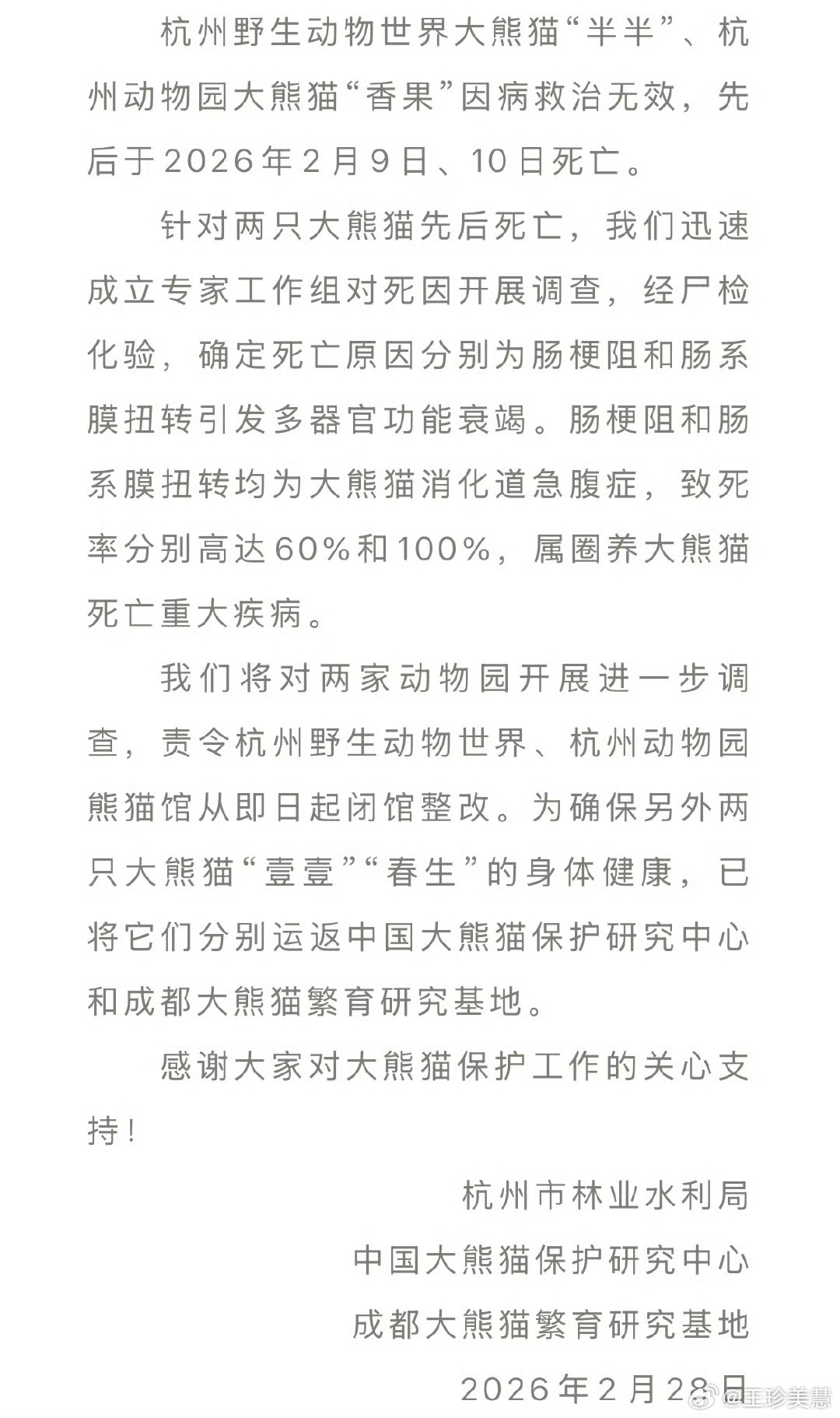 大熊猫半半香果离世