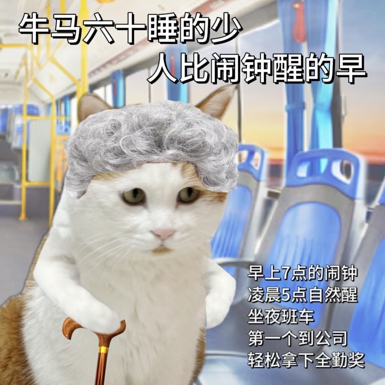 人一退休面相都跟着变舒展了感觉这个奶奶一看就没吃过现在年轻人的苦啊，之前春节还去