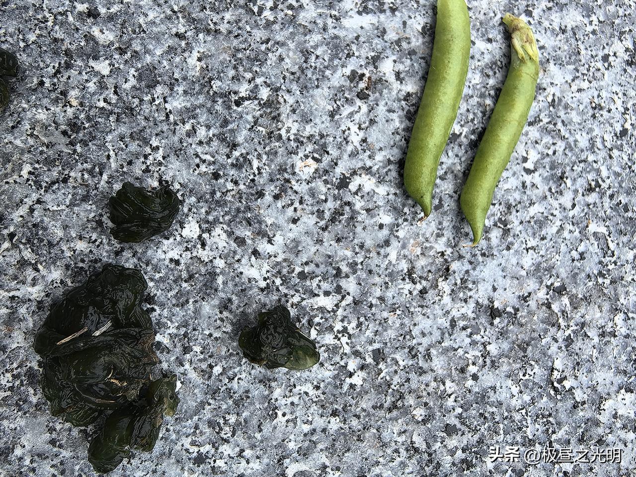 随笔

西北在降雪，今天苏州气温也很低，15-17度。其实这个温度最适宜，穿毛衣