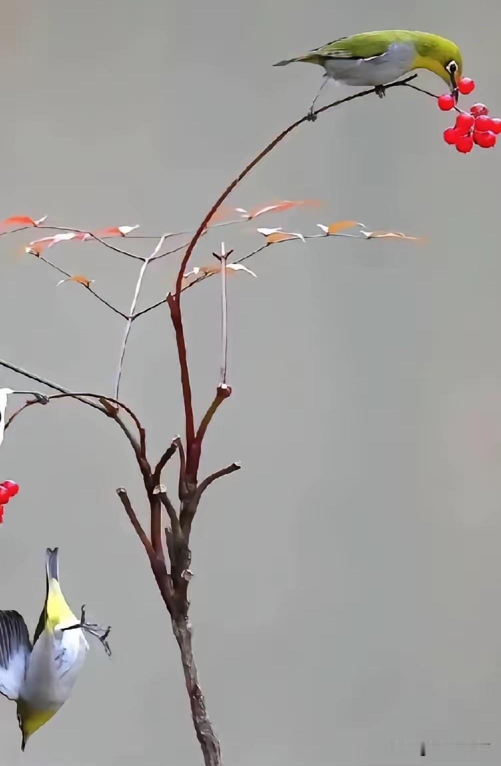怎么破局？

炒股久了，发现一个事实！行情下跌的时候，亏出去的是真金白银。但反弹