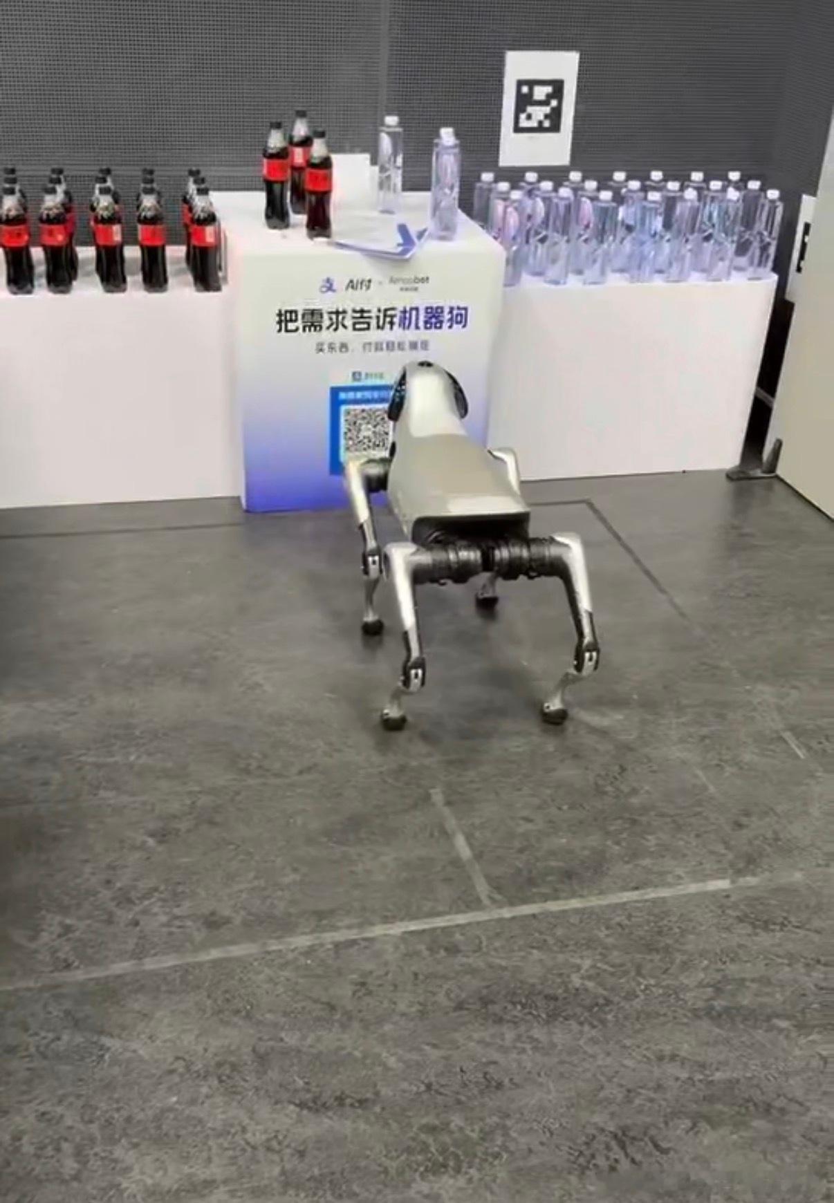 网友称狗腿付才是真接地气相亲自我介绍新话术：我有一只机器狗，还会打酱油。趣味感拉