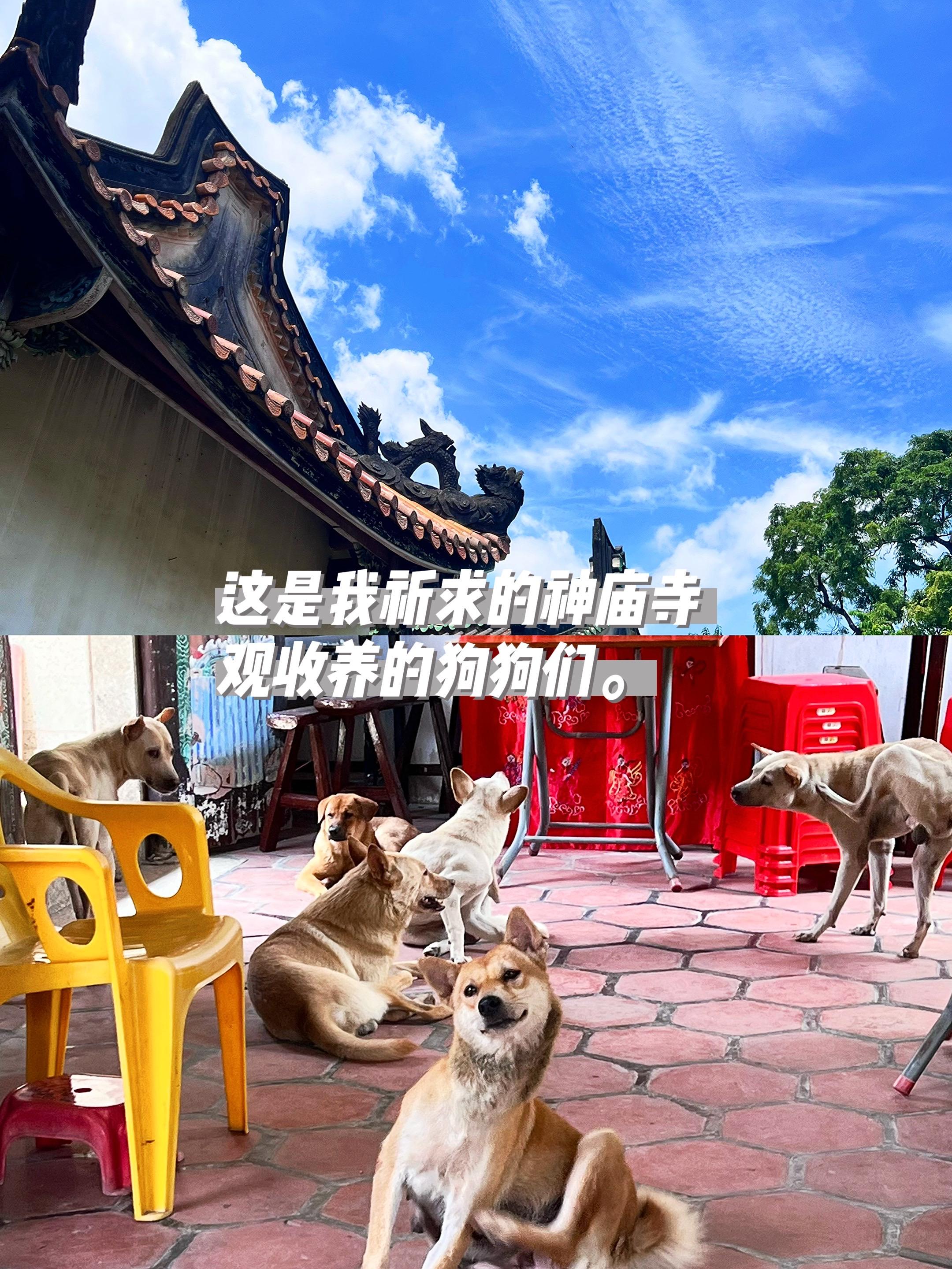寺庙不大，有真神。
