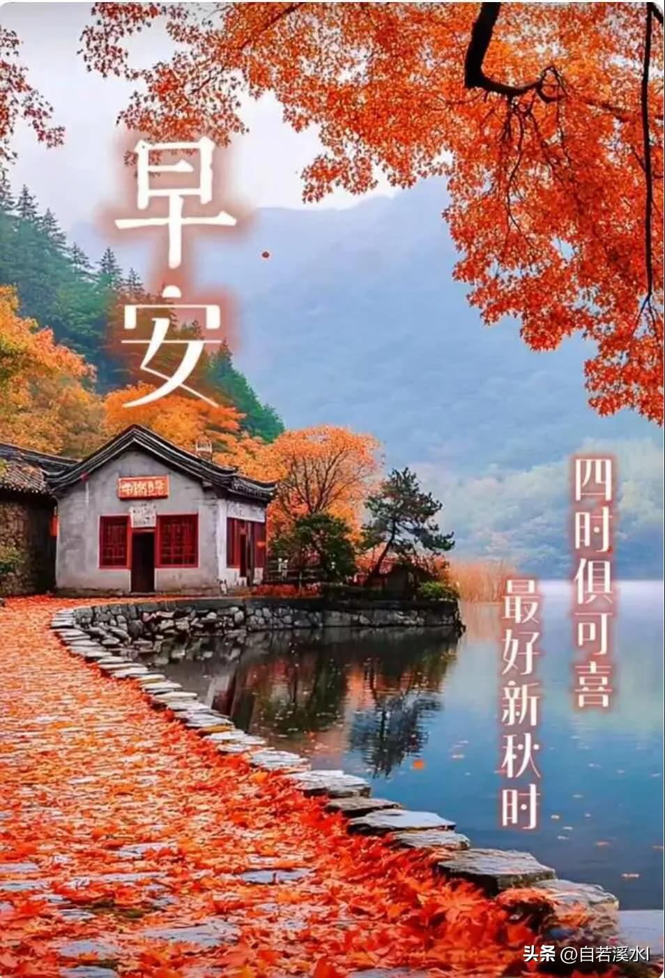 红叶铺径，秋水含情，愿四季安康，早安吉祥。