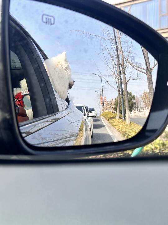 后车：缓缓伸出一个小孩头