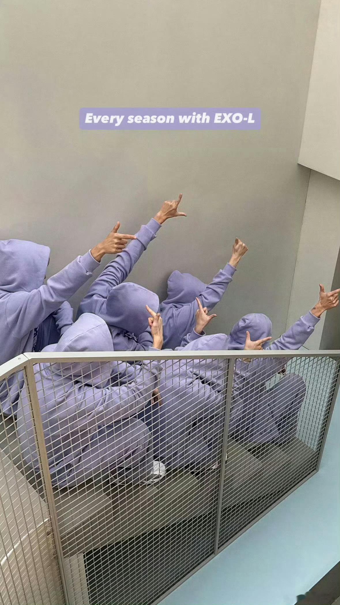EXO六人穿紫色比L手势拍台历，越来越期待台历了[期待] ​​​