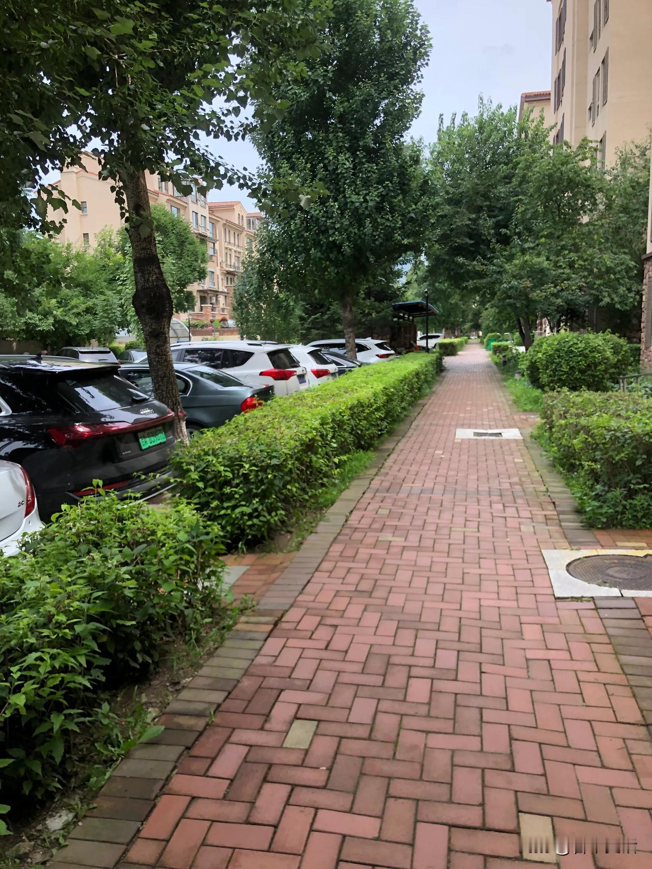 此联对仗工整，“冬去”对“春来”，季节相对，一去一来，富有动态变化；“山明水秀”