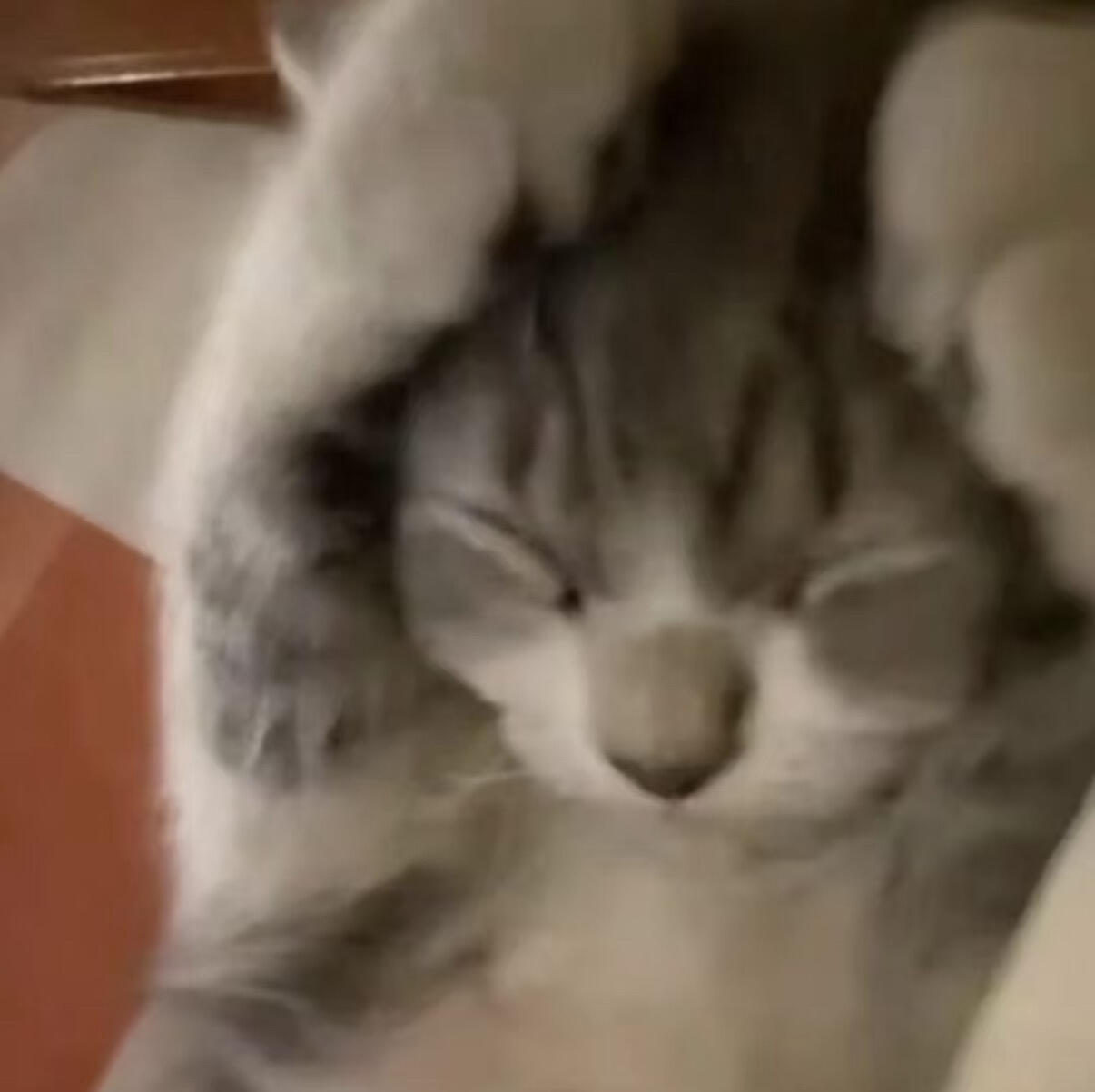 晚安安