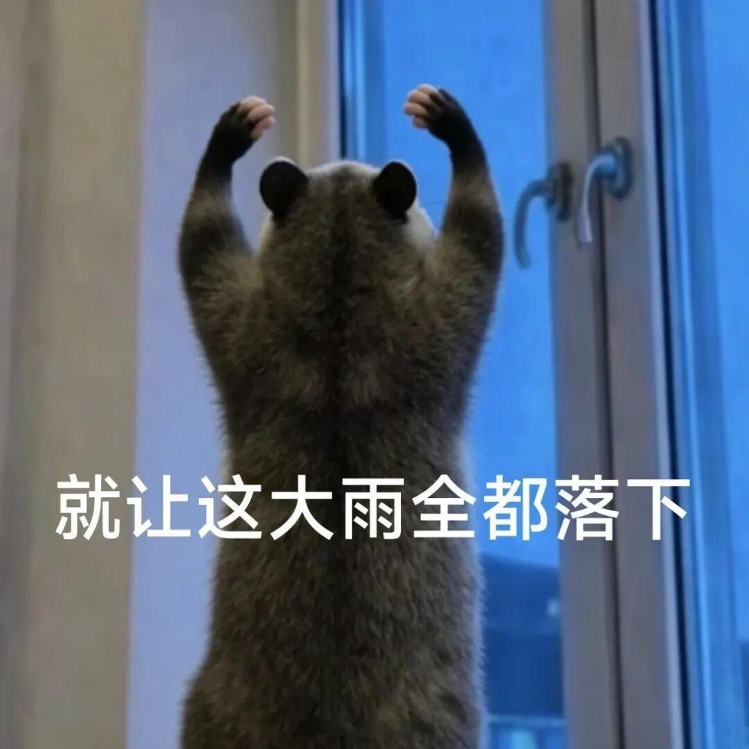 哦对，最好看的刑侦剧，是大案纪实因为真实发生的刑侦细节，永远比编的扎实精彩最好看