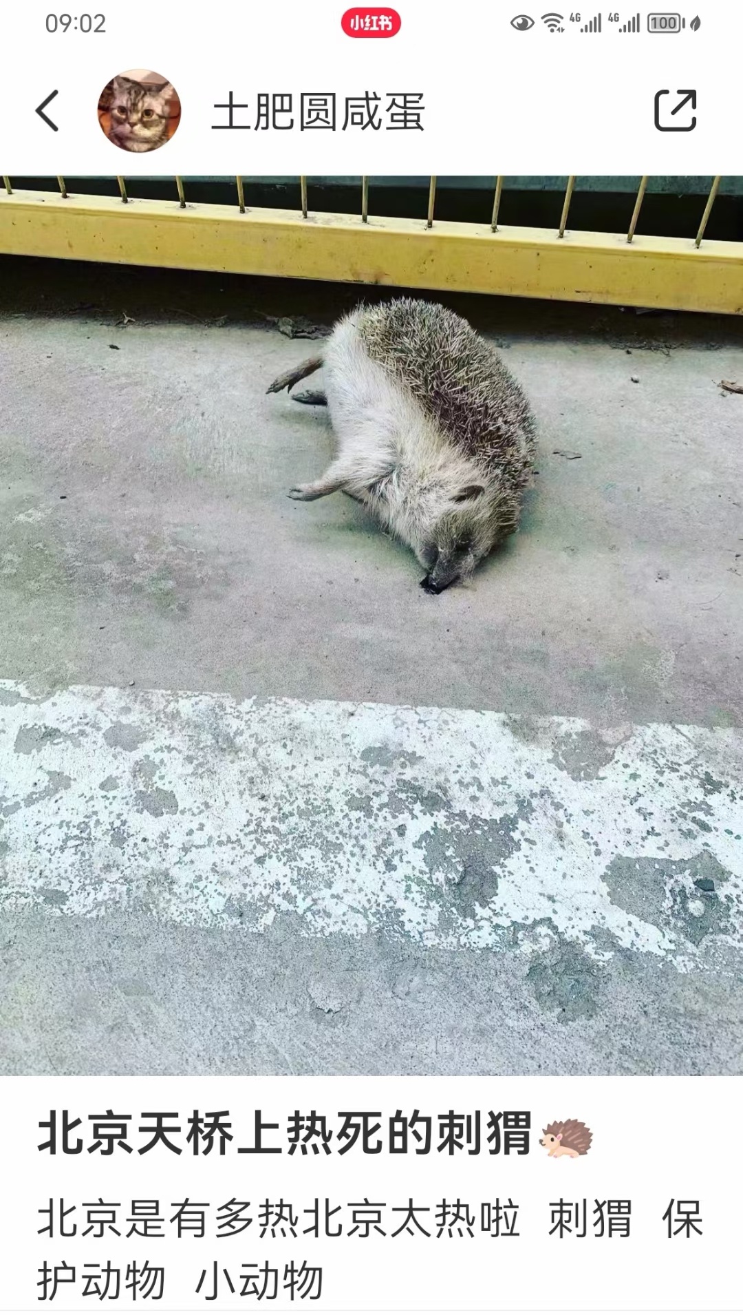 分享图片 ​​​