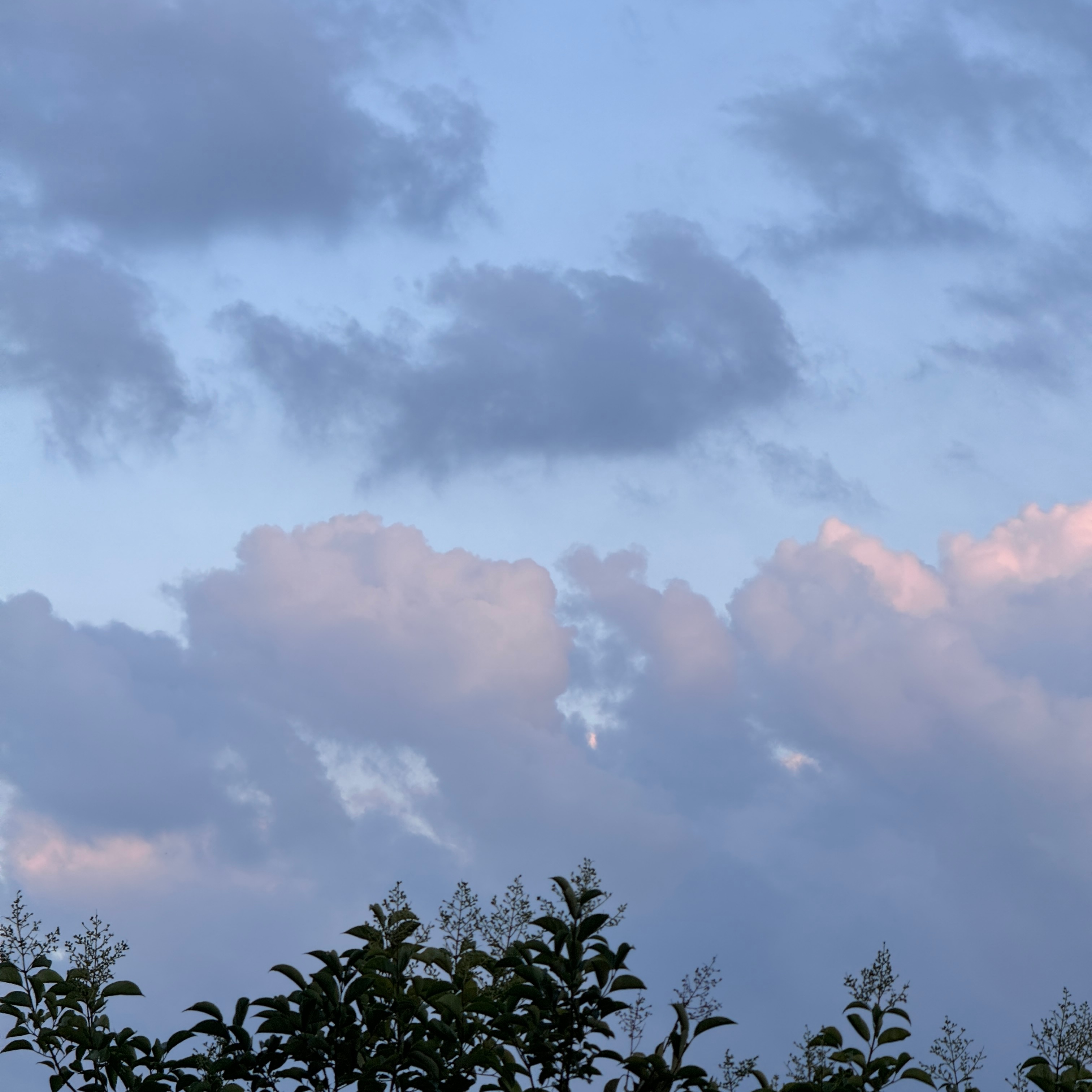 最近的天空[送花花] ​​​