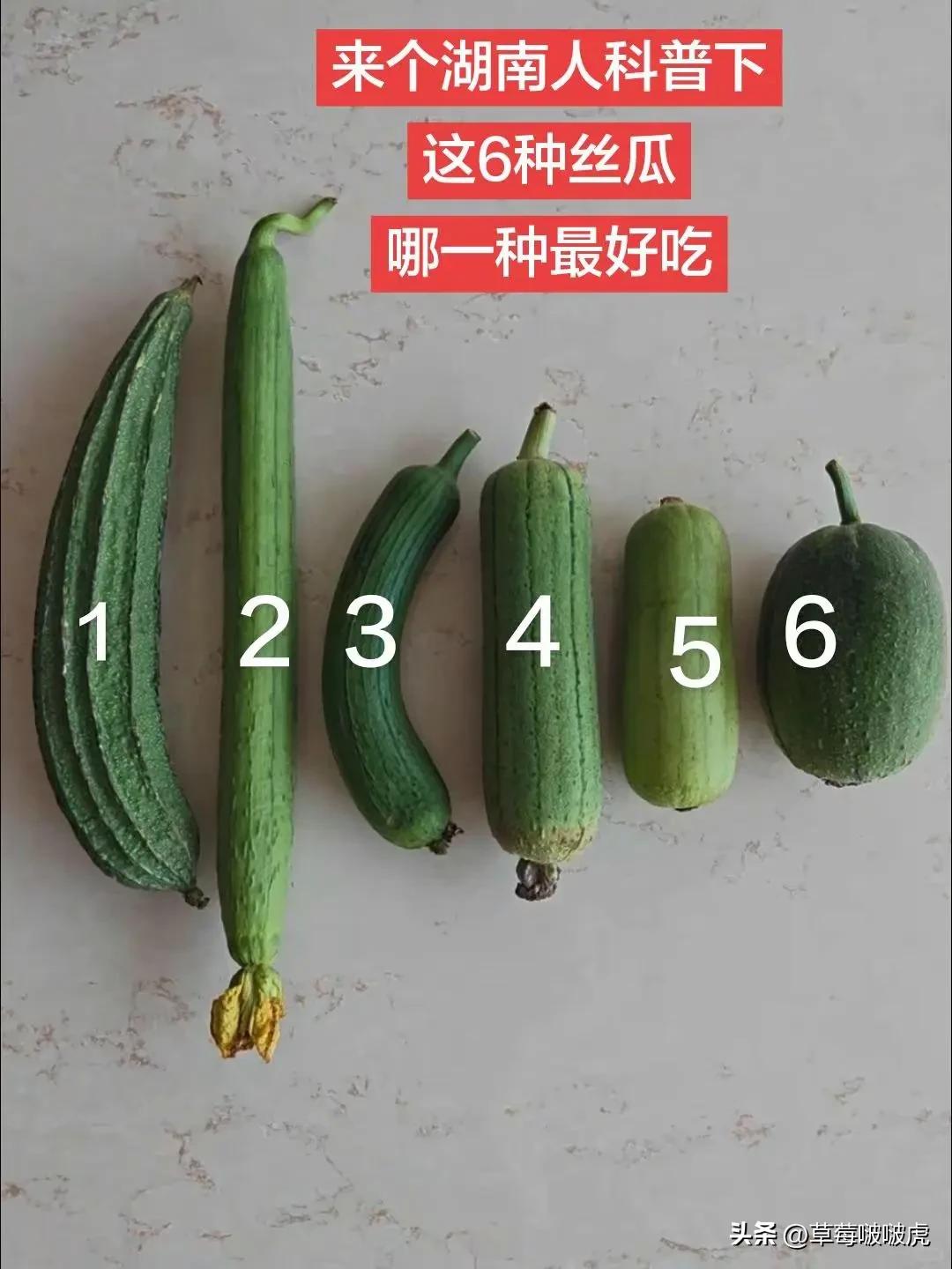 实话实说，一号最好吃，不接受任何反驳！