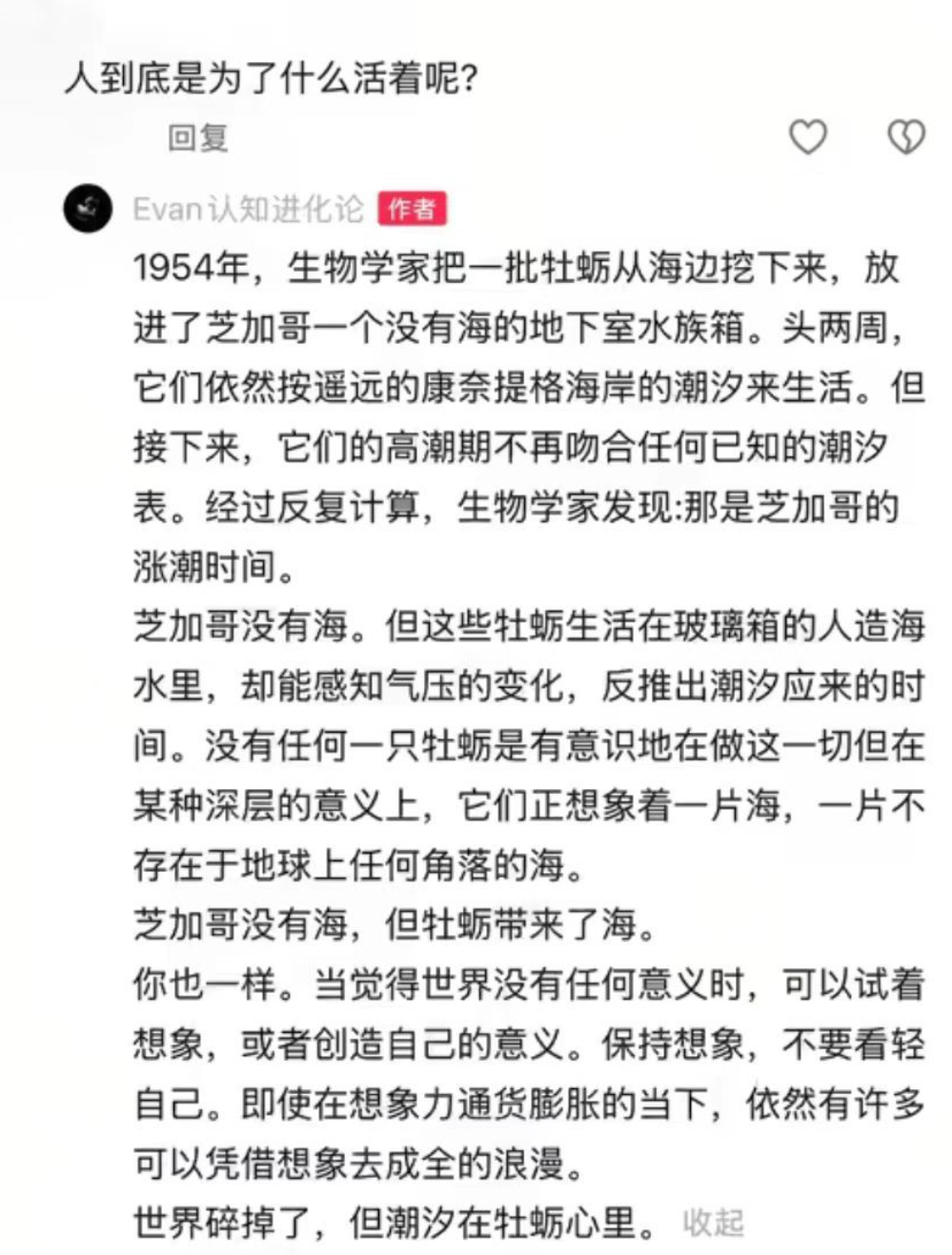 世界碎掉了，但潮汐在牡蛎心里。 
