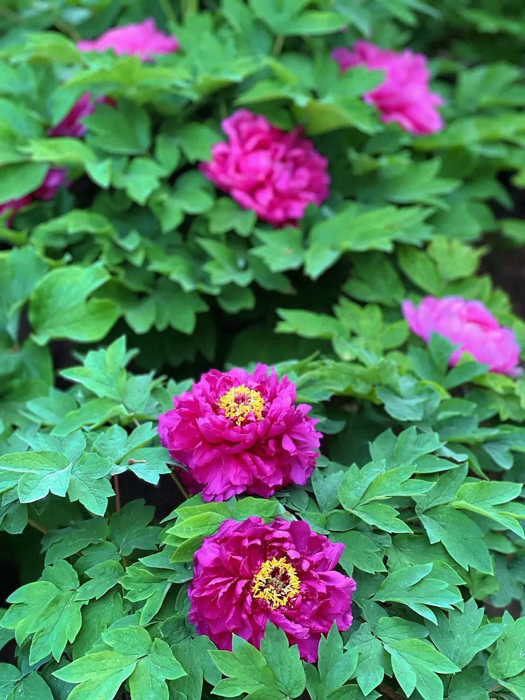 城府深的人都是这样处世：
 
1. 新环境低调藏锋，不张扬不外露
2. 过往闭口