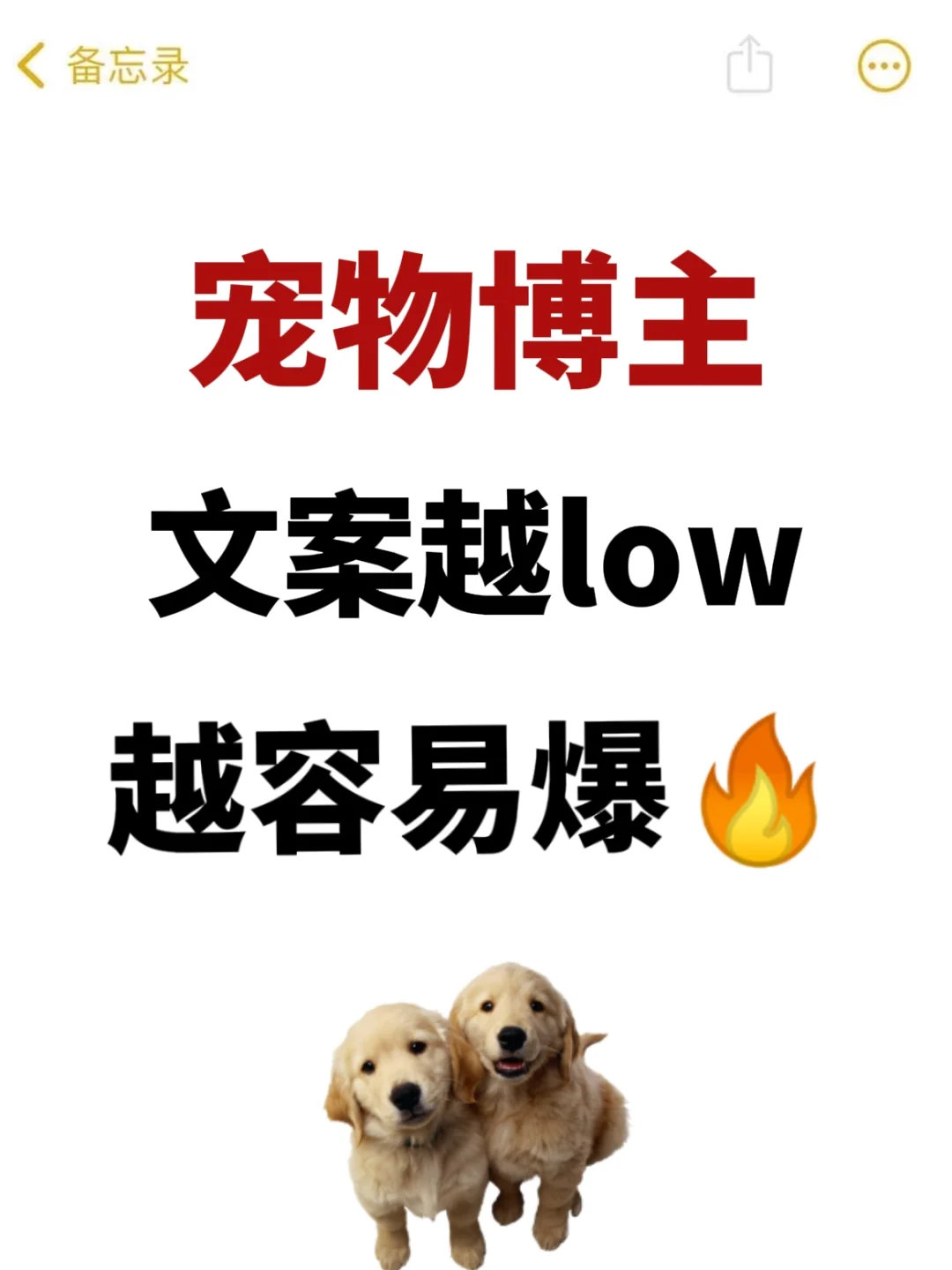 动物奇遇记动物奇趣  发现没？那些写着“发疯文学”的宠物笔记，数据居然爆了！原来