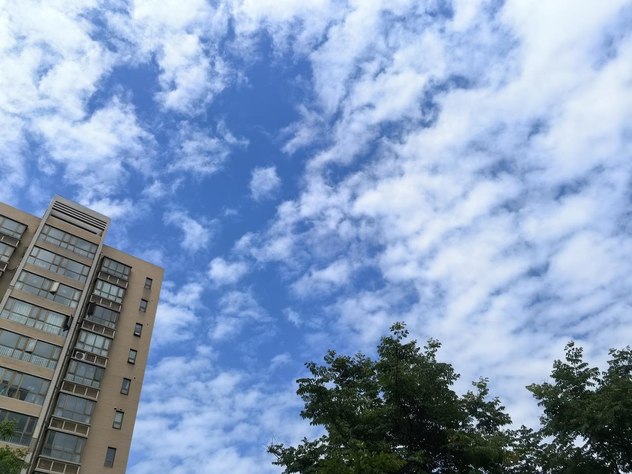 雨过天晴，大美蓝天白云

[玫瑰][心][玫瑰]

雨过天晴后的蓝天白云，简直是