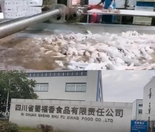 打死都没想到，咱们追剧啃的网红鸡爪，还有那一咬嘎嘣脆的“土灶锅巴”，背后竟然这么