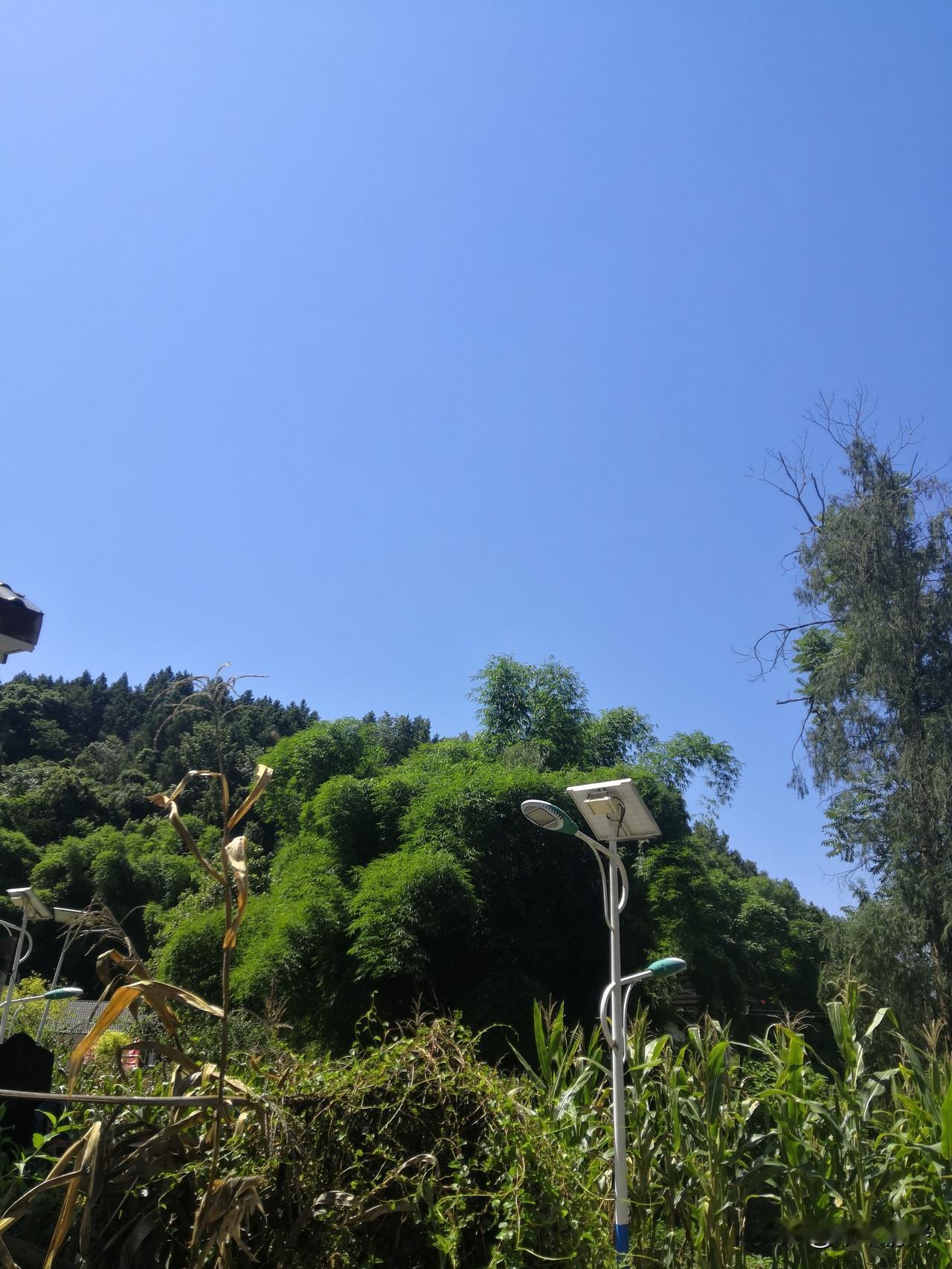 德阳市高温天气
2026年8月12日中午时分的太阳还是很大的。
德阳市高温天气依