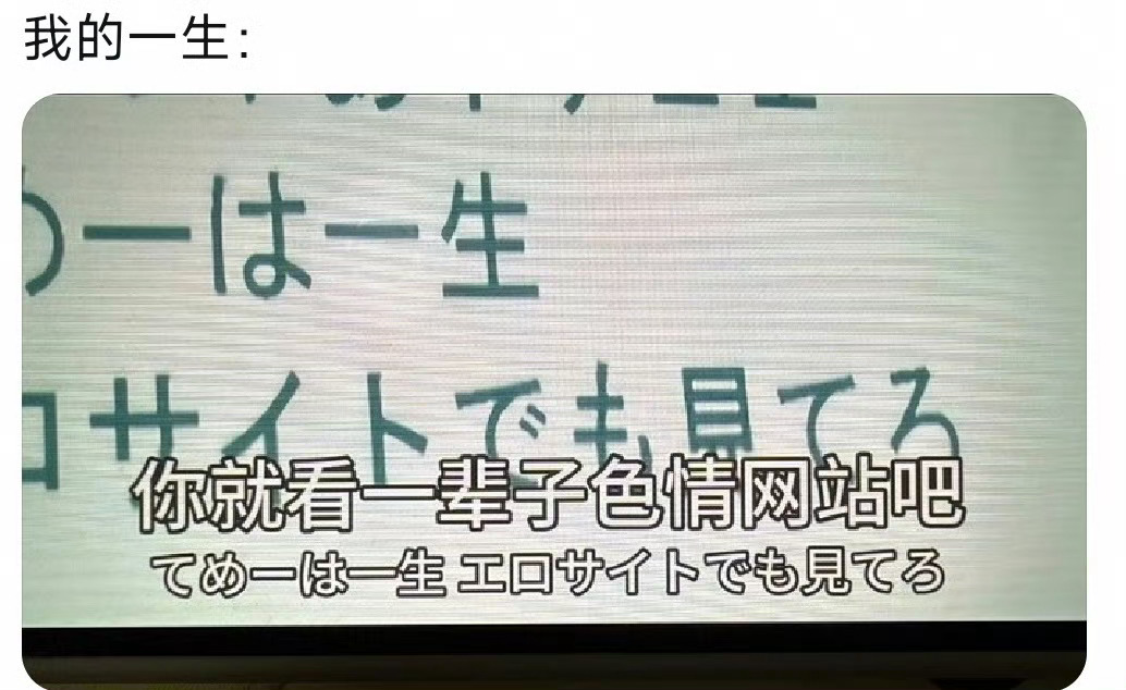 我这一辈子 
