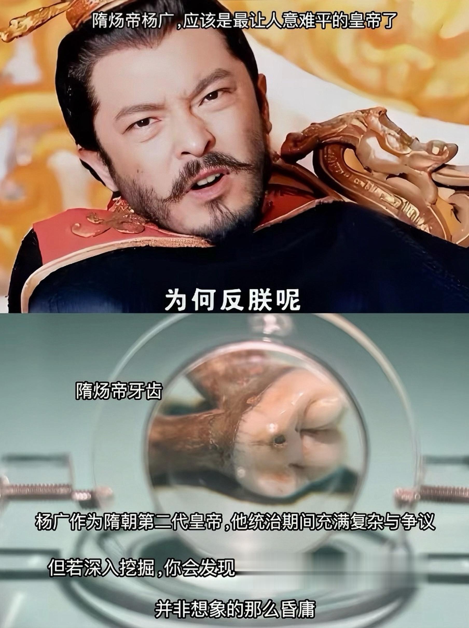 隋炀帝杨广是不是被严重的抹黑和低估了