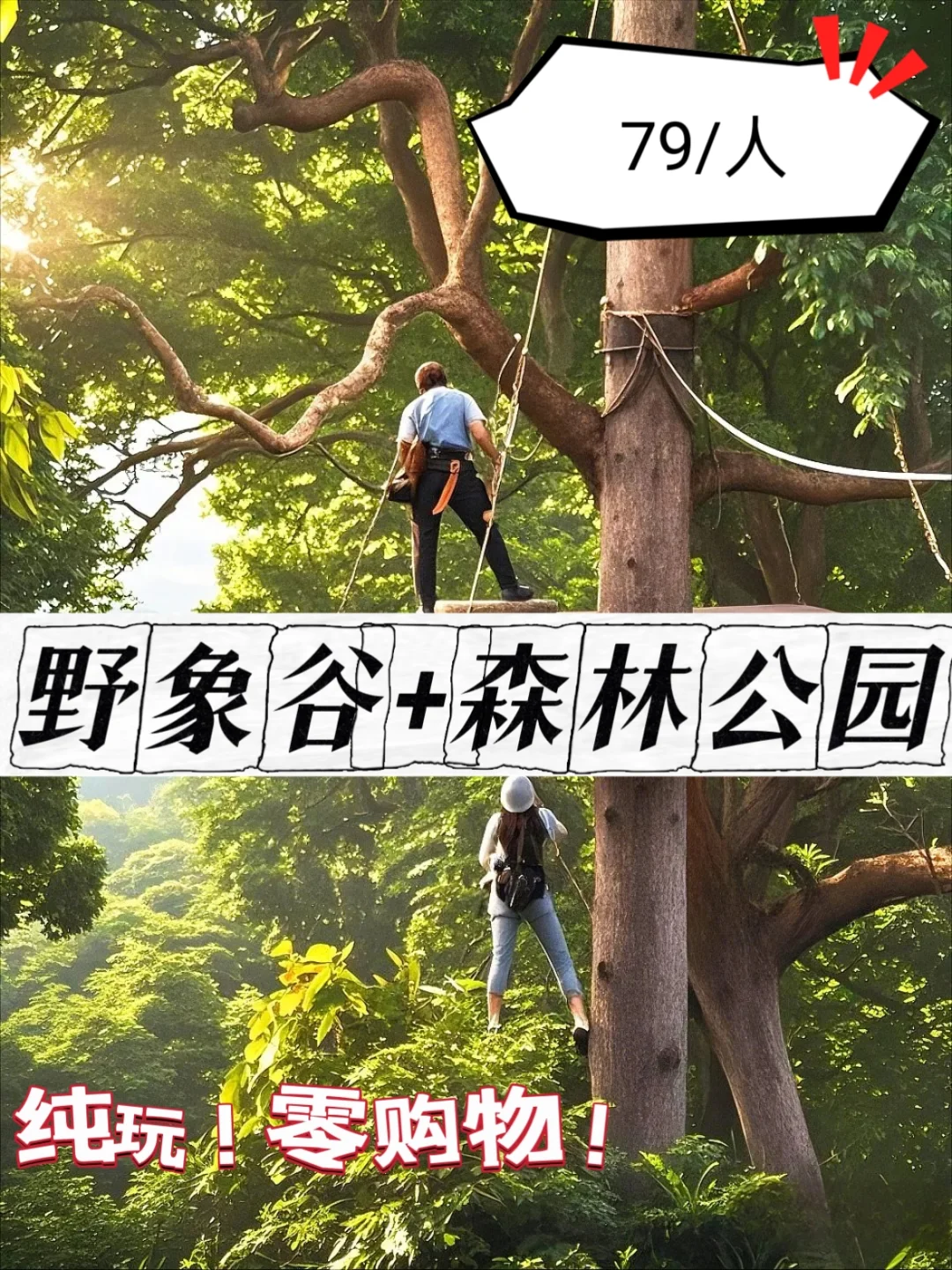 🌿 野象谷+森林公园纯玩无购物团攻略
