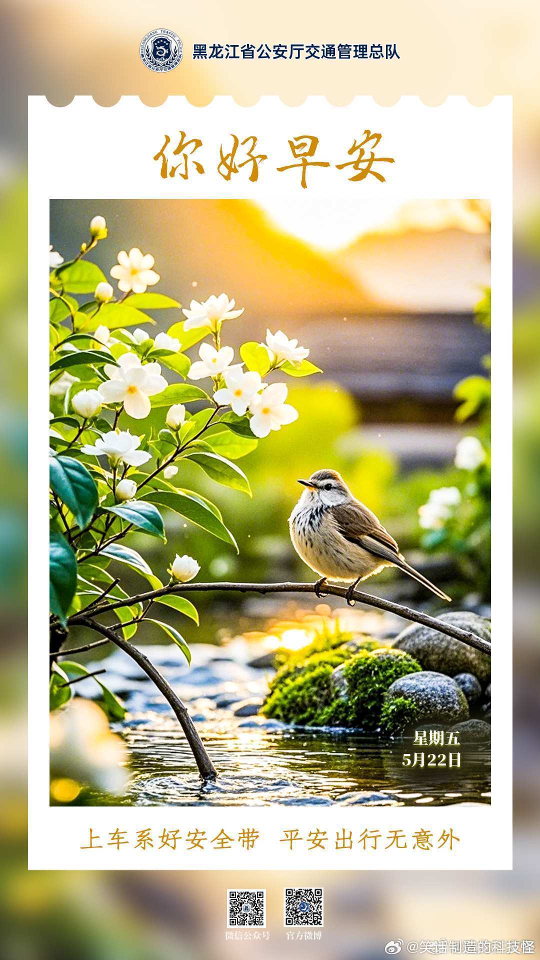 早安 上车系好安全带，平安出行无意外。早安早安高小黑早安龙江早安心语 （