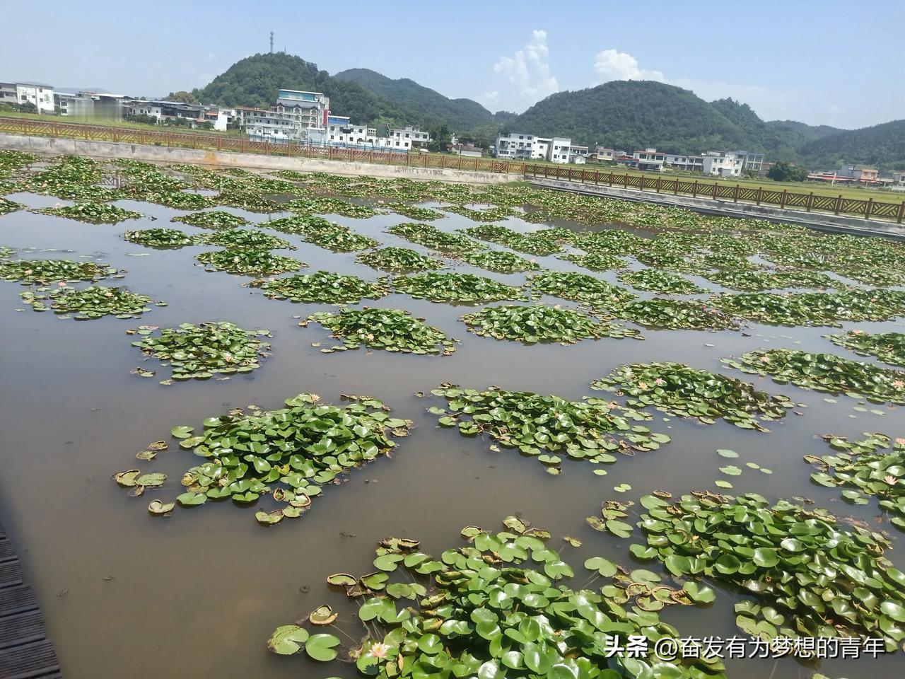 我家孩子今年考上了成都锦城学院，民办本科，号称西南第一、全国排名第五，有一本招生