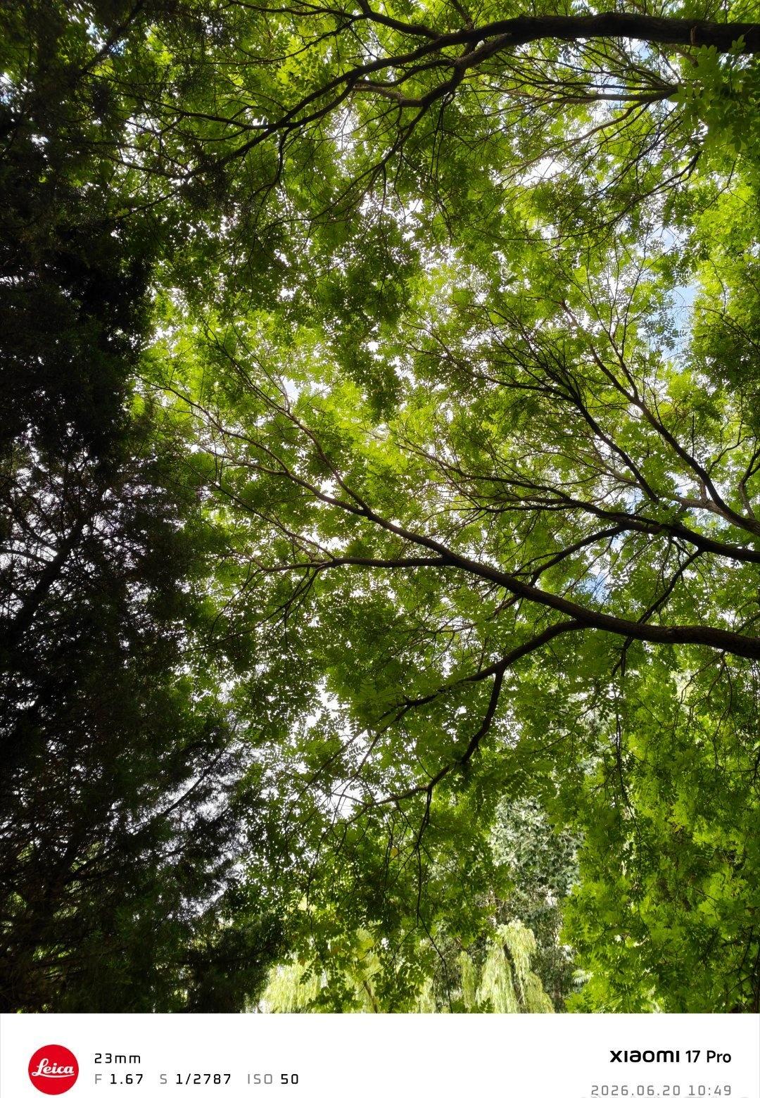 北京最近怎么了
这气候实在是太宜人了
难以想象都6月底了，白天晴空万里，偶尔下点