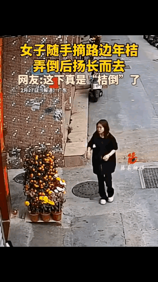 这个女子的手也真是够欠的了，挺大个人了，连最起码的素质都没有，连小朋友都知道，别