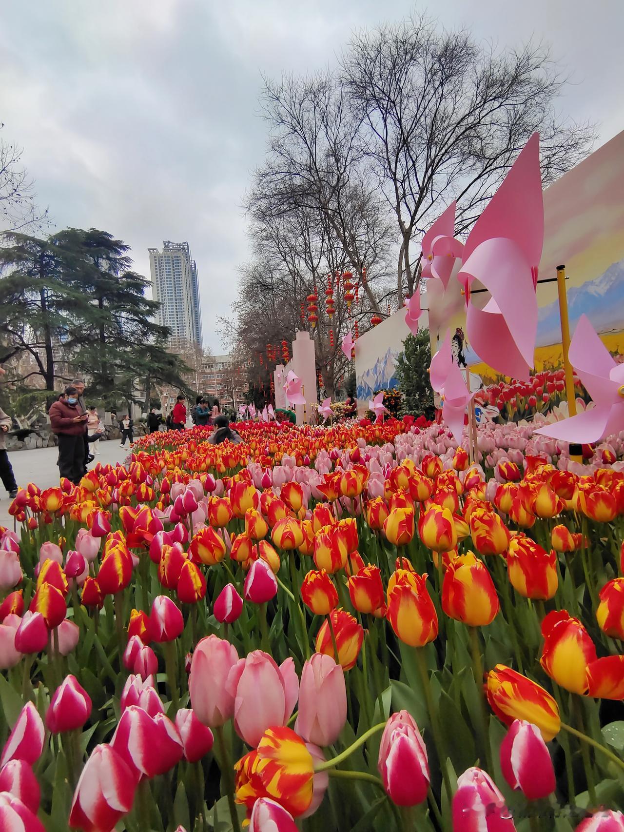 你能说出武汉10个好玩的风景区吗去了汉口中山公园，说是有“郁金香🌷花展”。但只