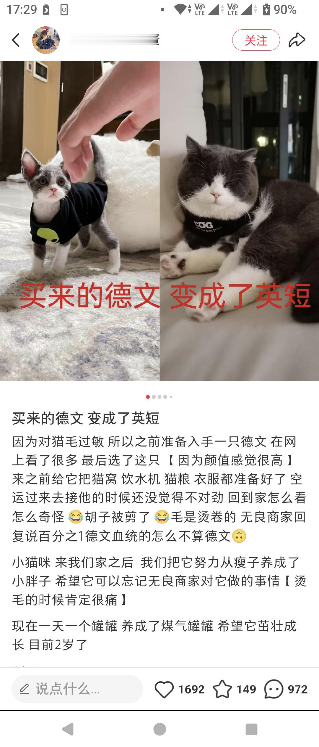 太离谱了