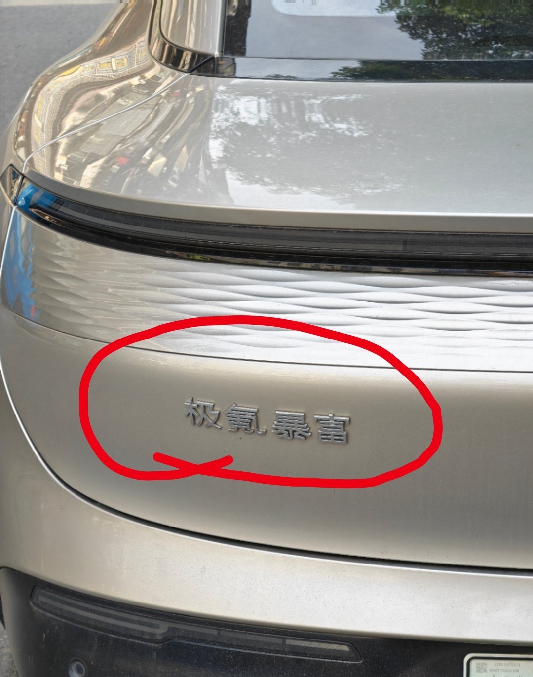 你们喜欢贴车标吗？极氪汽车贴这个标挺有意思的，你们想想还能贴哪些字？ 