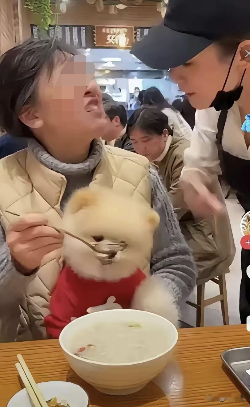 喂狗用公用餐具，有点公德心好吧？

在公共餐饮场合，辣眼睛的一幕出现了，一位穿马