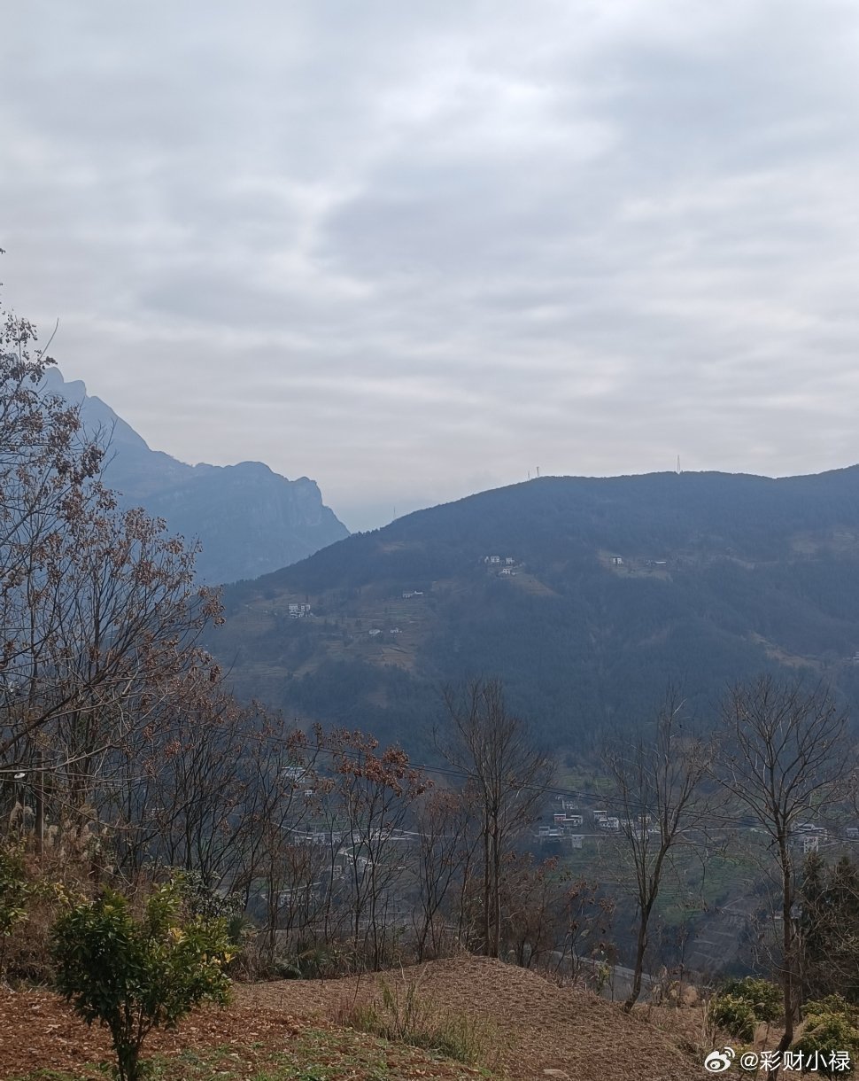 有时候会想起小时候的事，那时候每天就是上学放学剁猪食喂猪，常常觉得很闷，我总是看