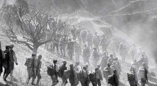 杨永泰确实是我党遇到的最狡猾狠毒的政治对手，眼光毒辣，手法狠毒。如果他在，皖南事