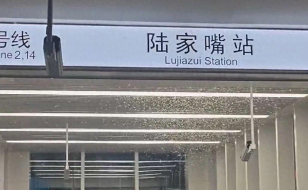 上海陆家嘴地铁站这两天出了个事，6月20号那天，有不少人拍了视频发网上，说2号线