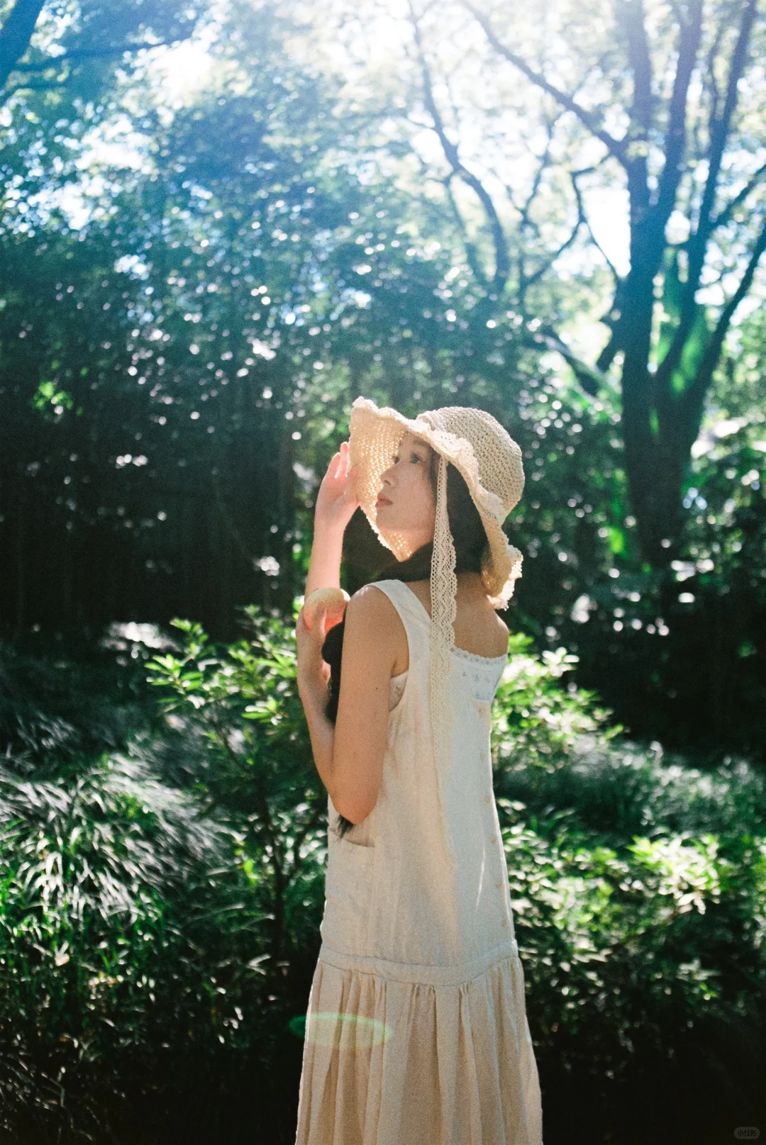 夏梦沉沉🌿