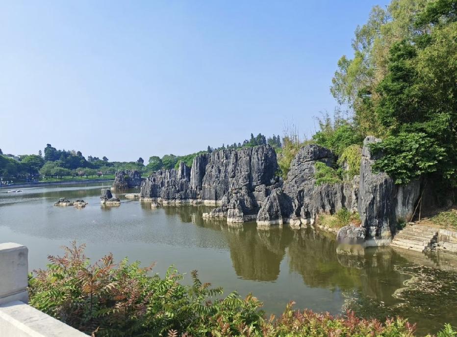 走在路上，能看见树叶缓缓泛黄飘落，空气清清爽爽，连阳光都变得柔和。秋天不急于盛放
