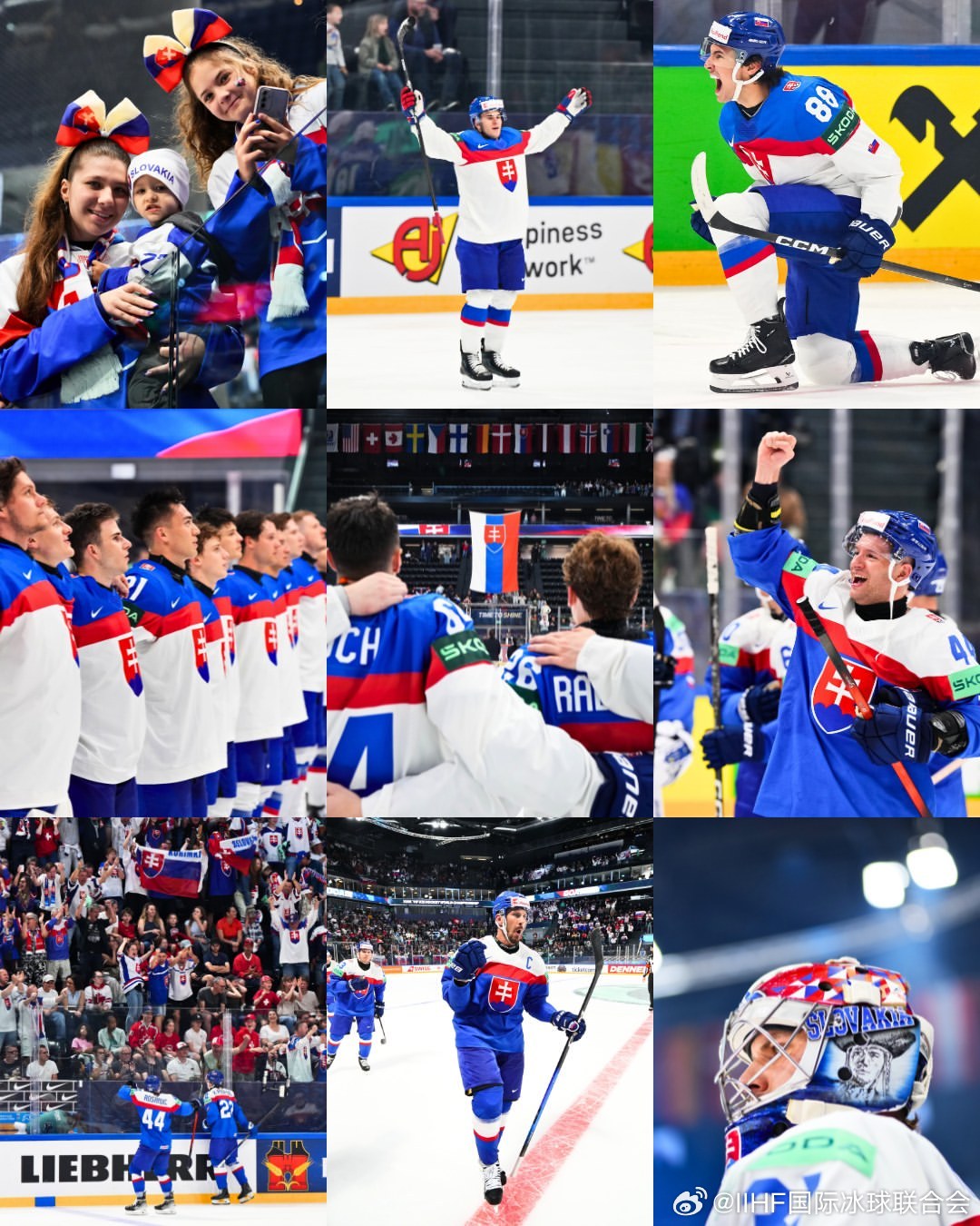 🇸🇰冰球