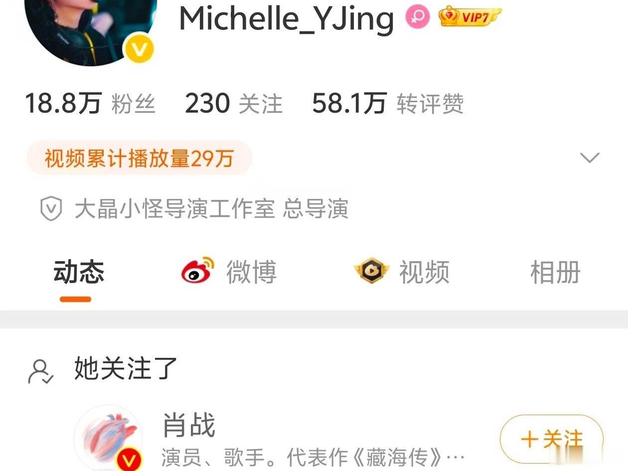 肖战 演唱会要来了吗？一位演唱会总导演关注了肖战。本来网传今年肖战有演唱会，这下