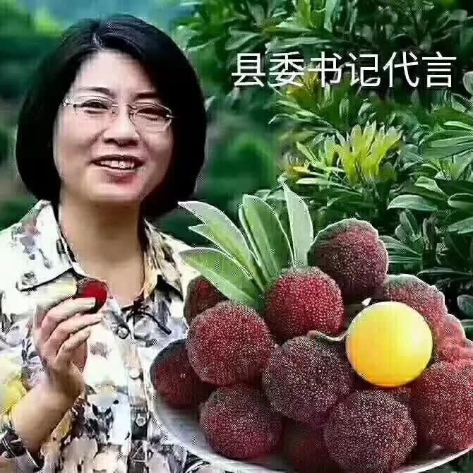 六月南风起，浙江的红火不仅在枝头，更在直播间和推介会现场。从余姚到慈溪，从仙居到