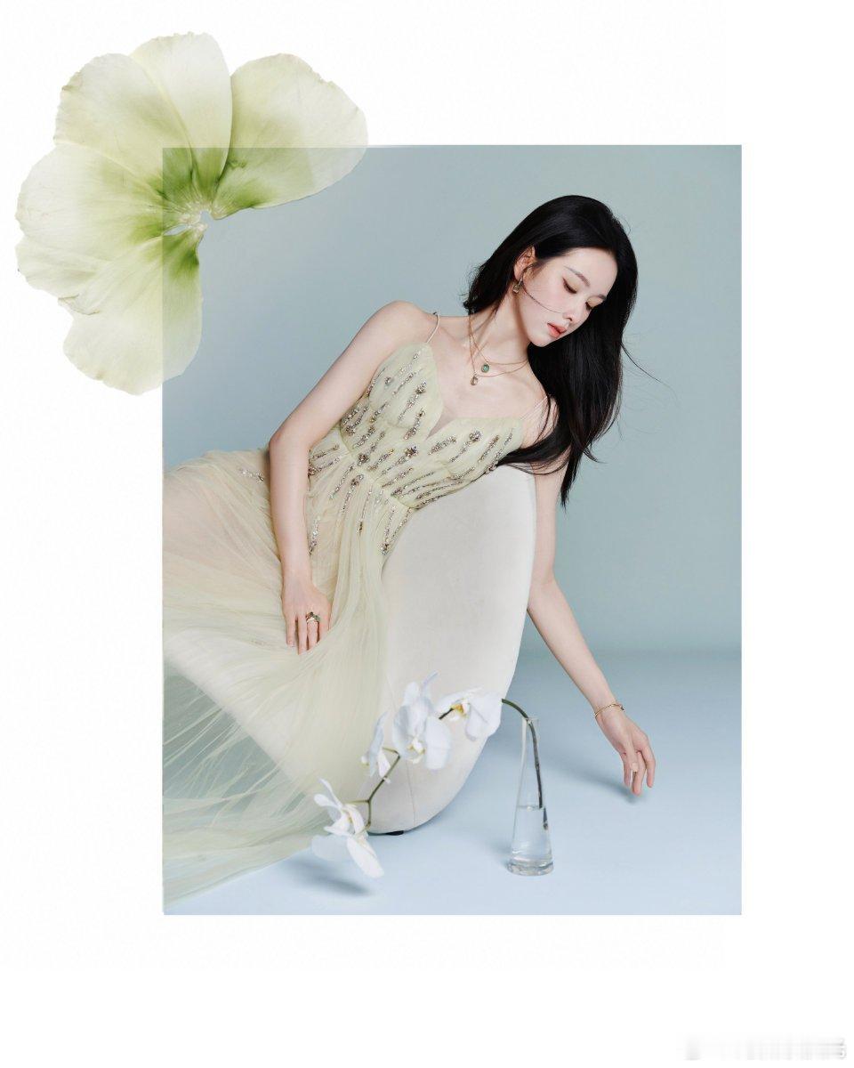 这张创意真不错，花从画面内舒展到画面外 