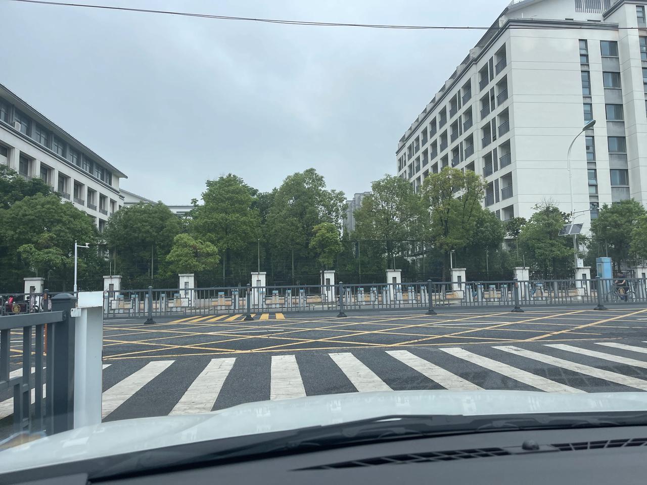 #摸鱼的一天#