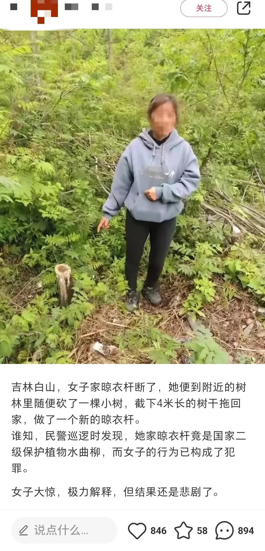 图中这个女的家里晾衣杆断了，她就跑到附近的山上随便找了一棵树去砍。
结果让她万万