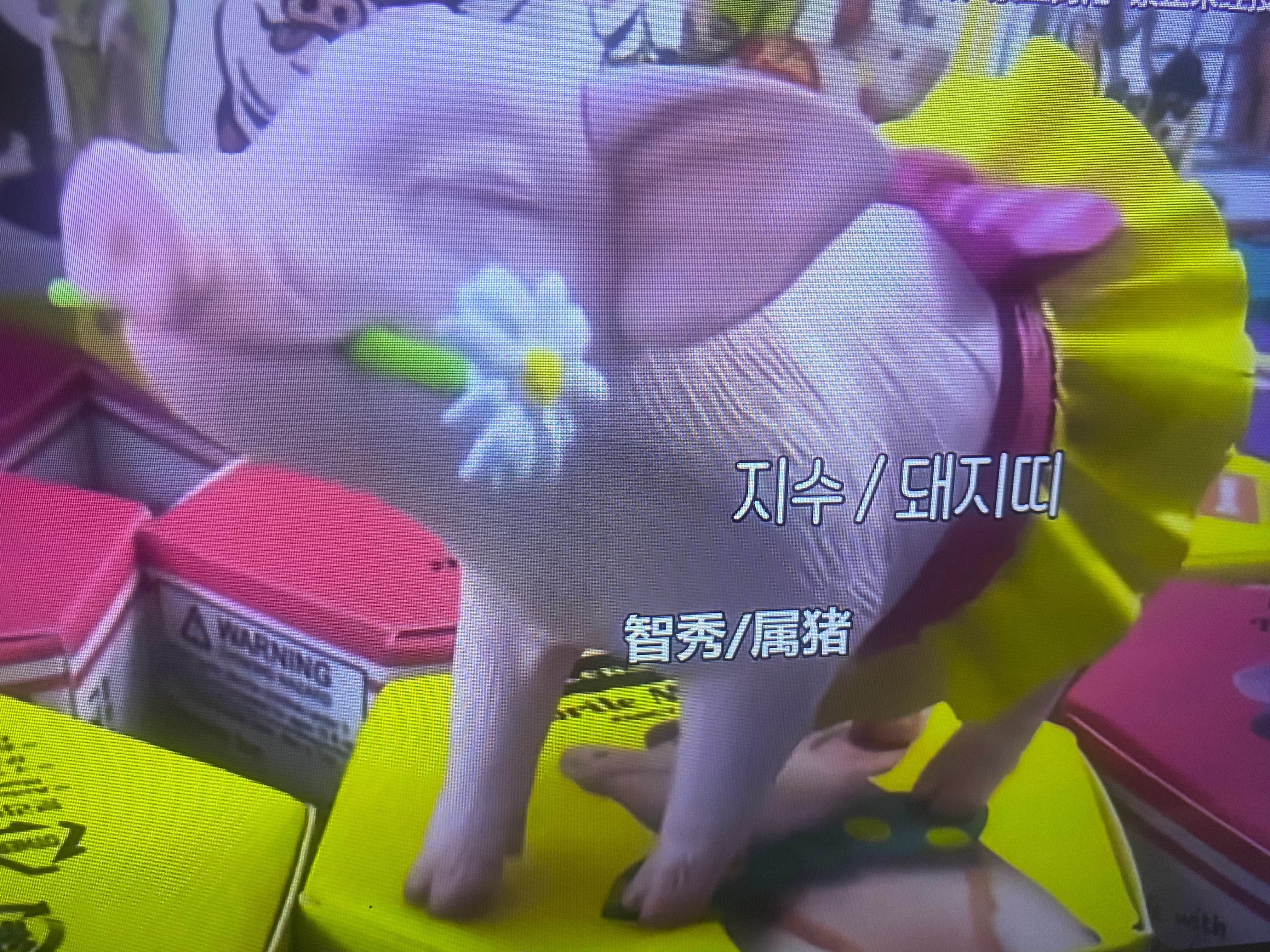 幸福指数居然提到过又重新看才想起 