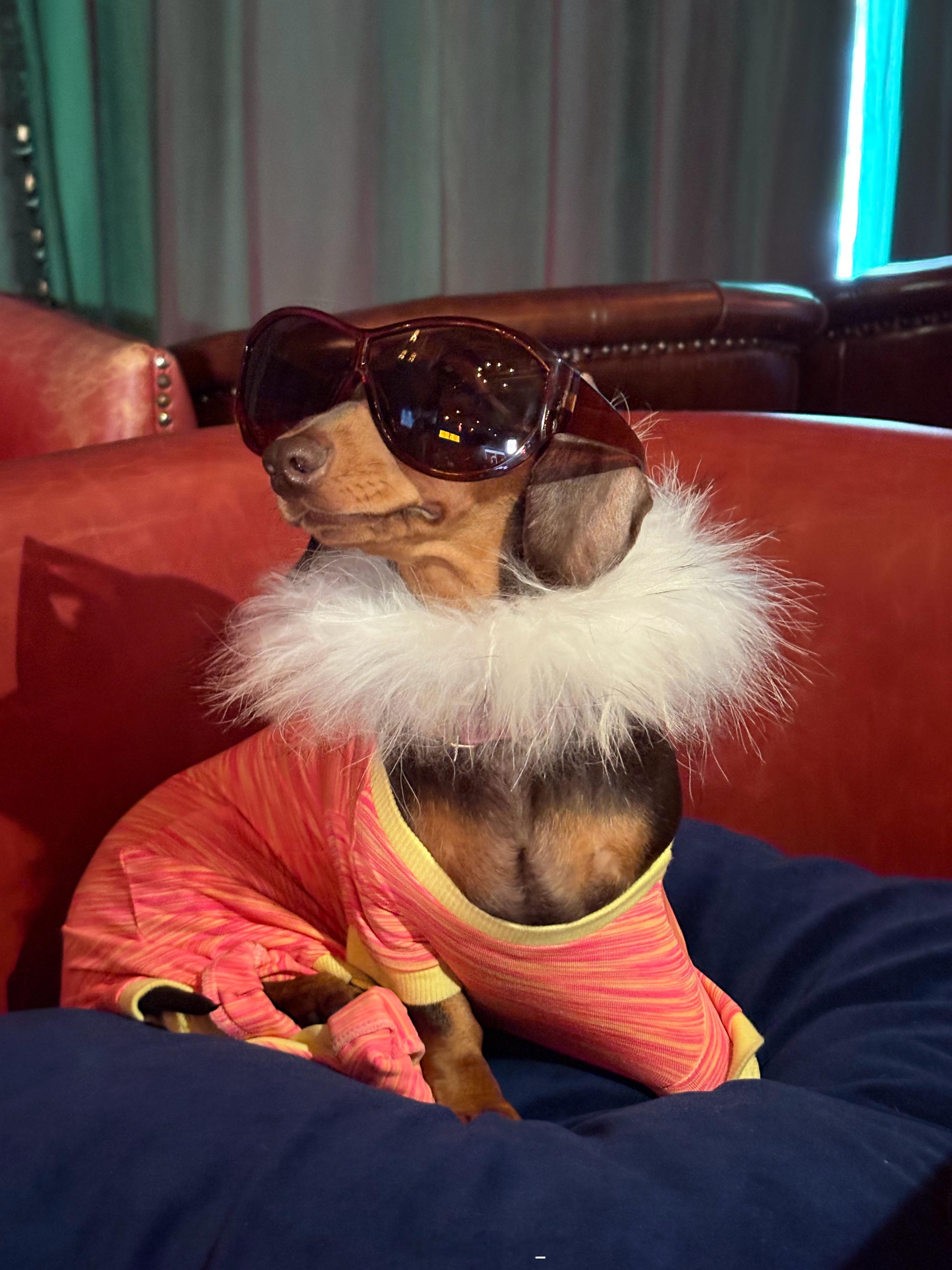 国庆结束 发发库存一周两次的元古🥘推荐推荐~这次放假回家幸福感是妹妹给我的，六