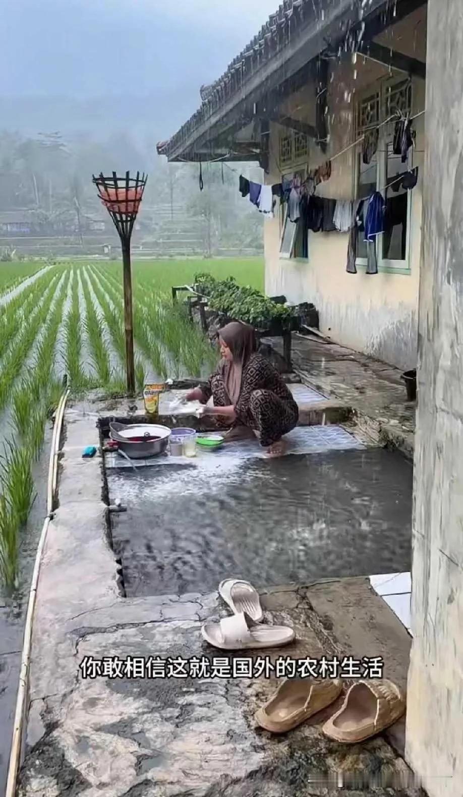 大开眼界！国外农村多雨潮湿，院子地面直接积满雨水。
屋里几乎每样东西都容易发霉，