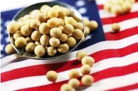 18万吨大豆背后：中国的善意，藏着最清醒的博弈

别光盯着那18万吨美国大豆，这