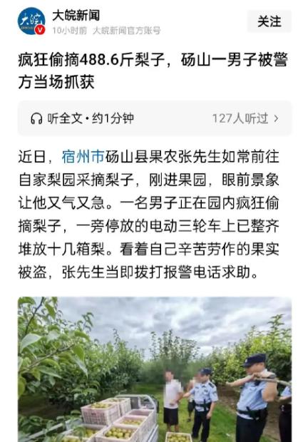 “你这是要断我活路啊！”宿州，大叔去果园看梨子成熟程度，结果，看到让他愤怒无比的