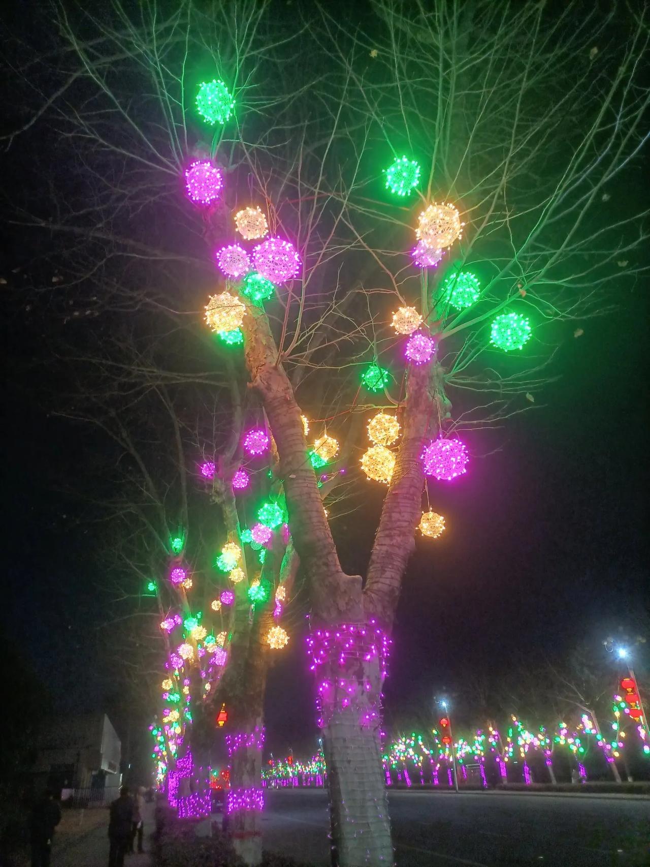 一树红花照油城，夜色中，醉眼迷离，美不胜收。