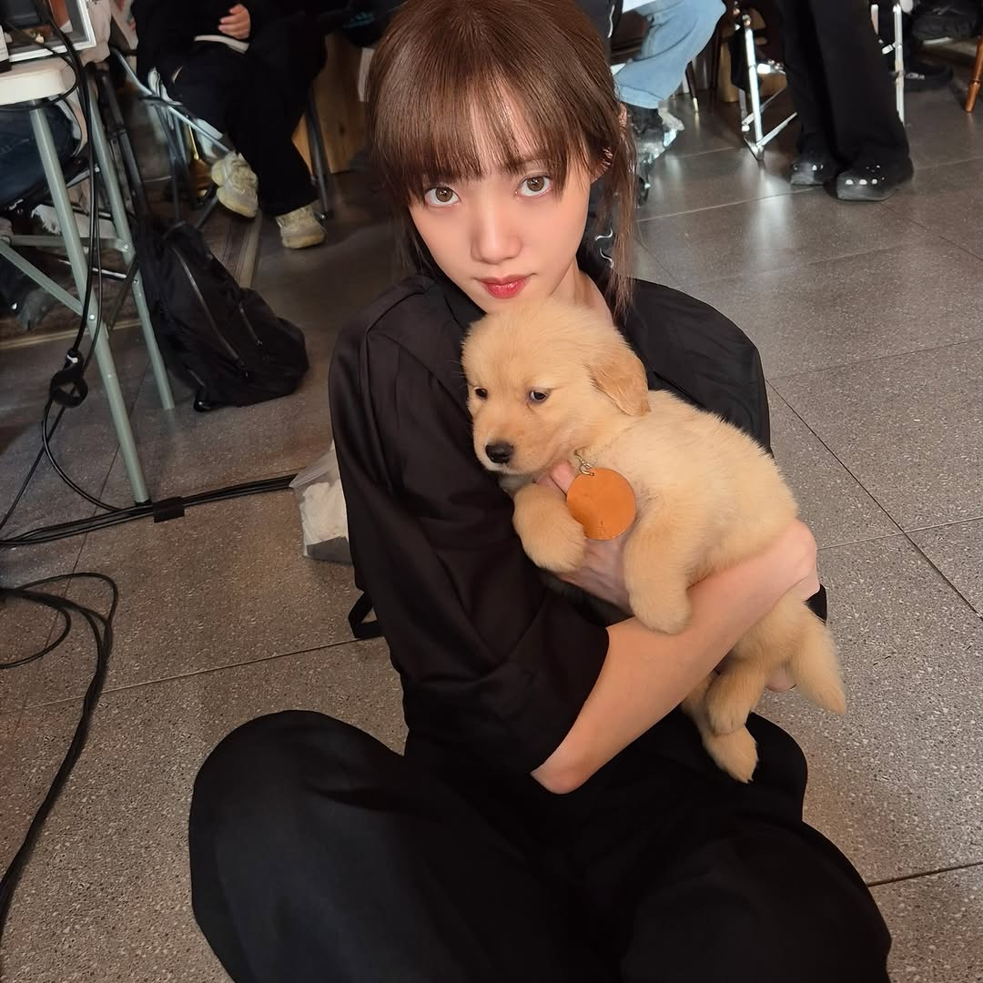 嗑颜bot 李圣经📷 